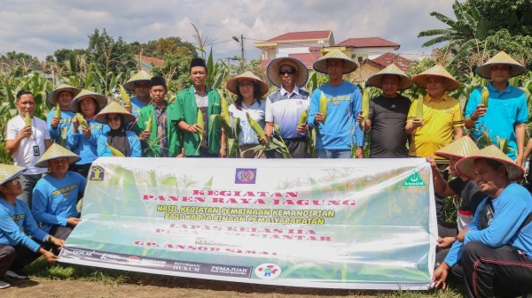 Lapas Pematang Siantar Gelar Panen Raya Jagung, Wujudkan Program Ketahanan Pangan - DigitalMediaPublic